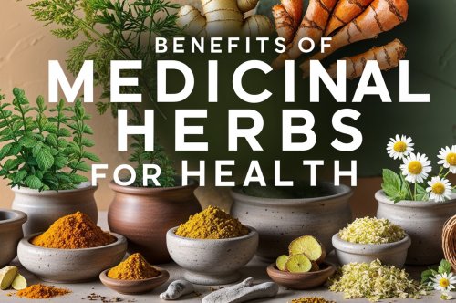 The Health Benefits of Herbs